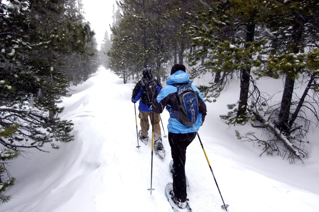 snowshoeing-try