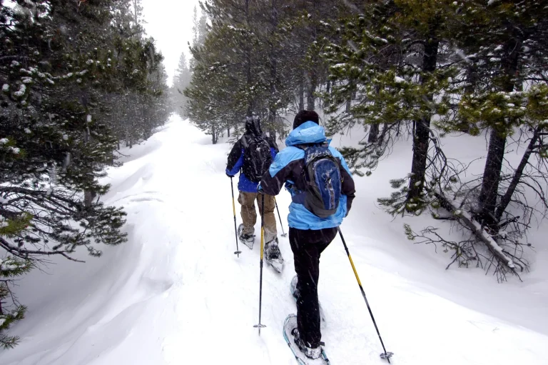 raquetas de nieve-intente