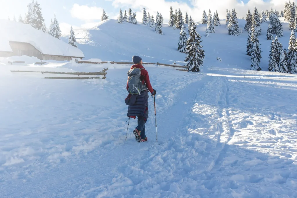 Vintervandring Velika Planina dagstur fra Ljubljana