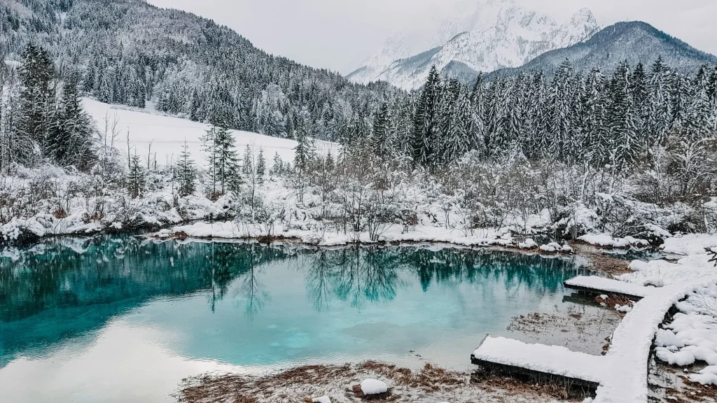 zelenci winter