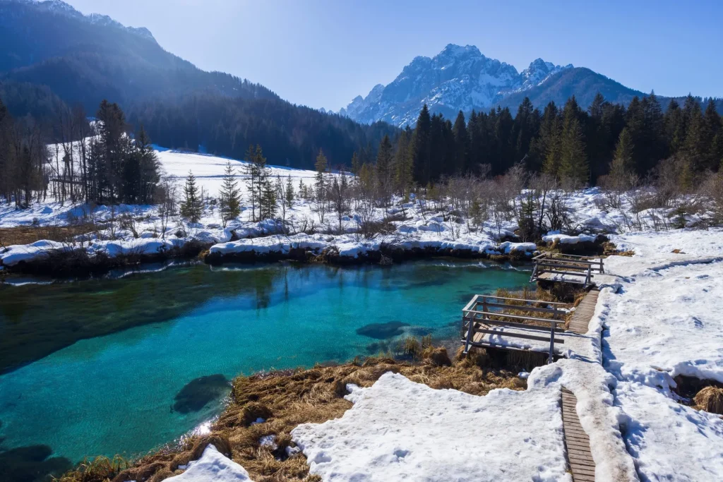 Zelenci winter