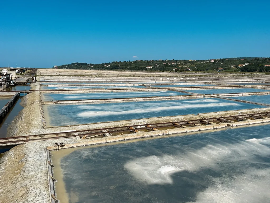 Salt pans Sečovlje