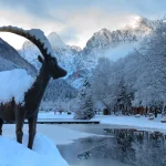 Kranjska Gora Meer Jasna