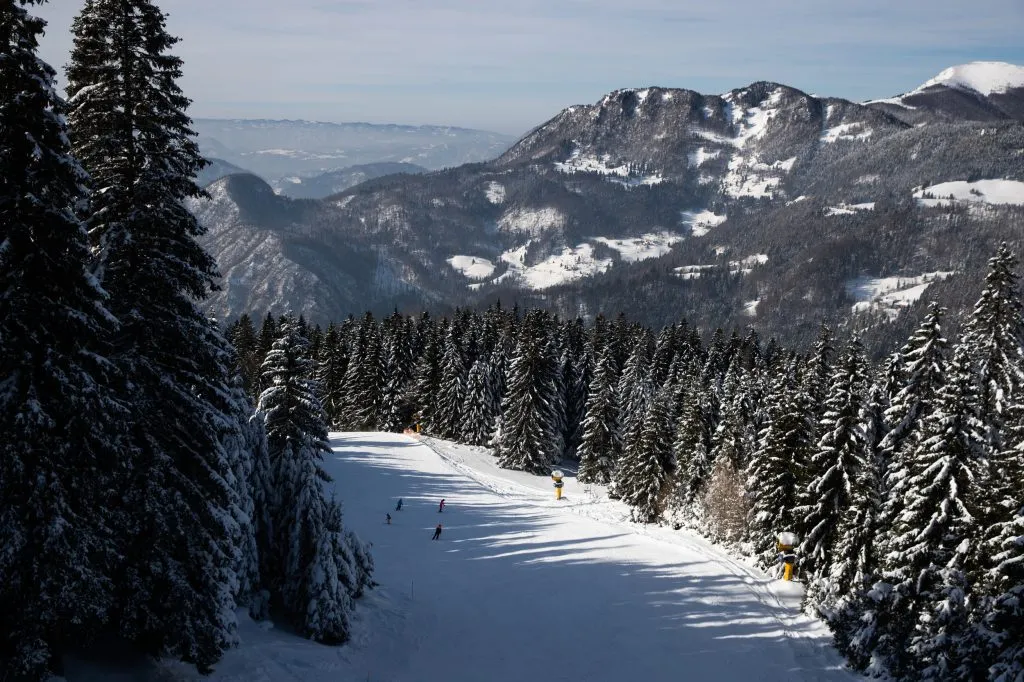 Cerkno skigebied bos