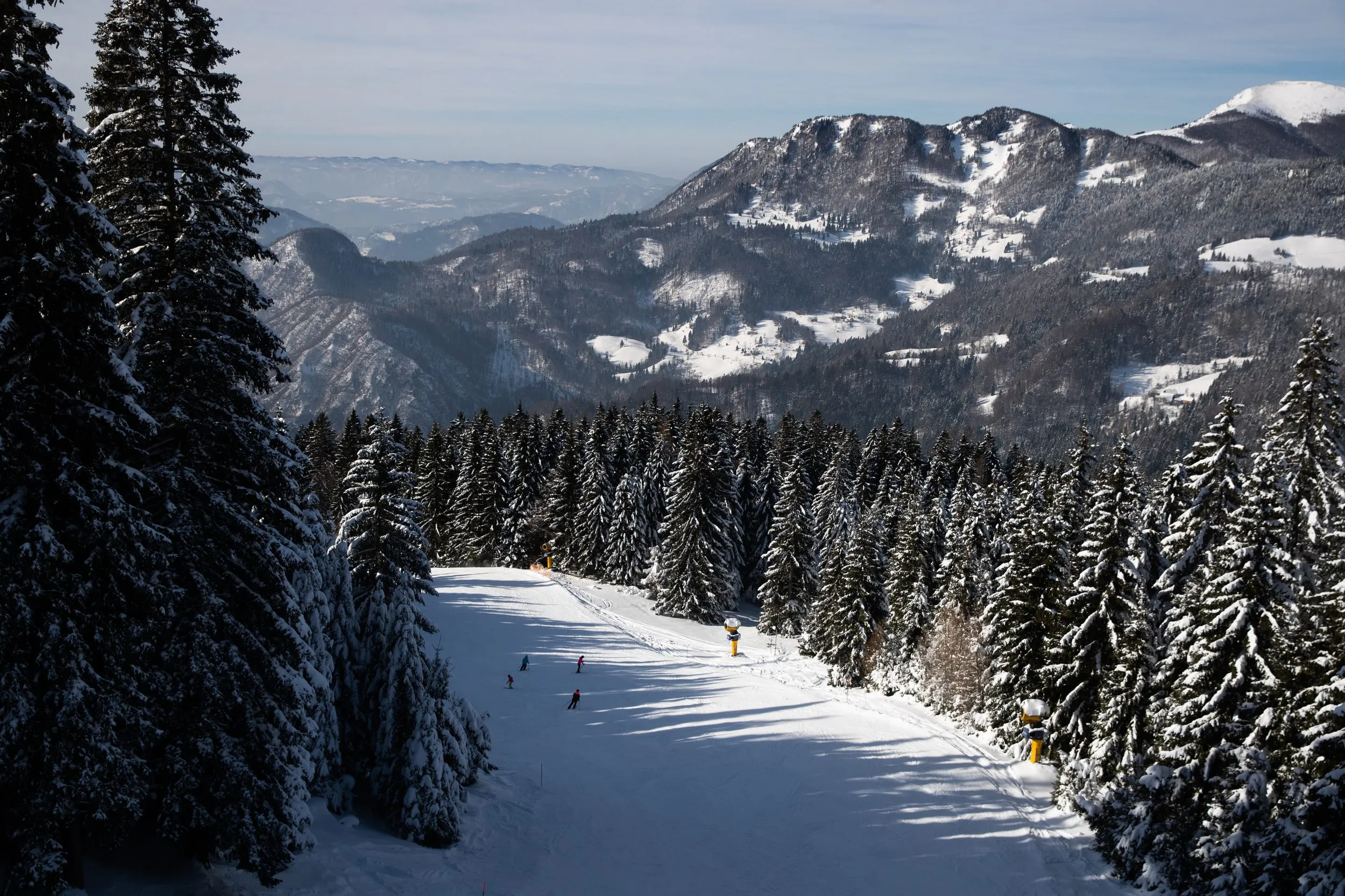 Cerkno ski resort forest