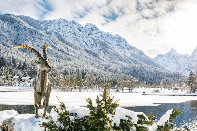 Kranjska Gora Lago Jasna soleado