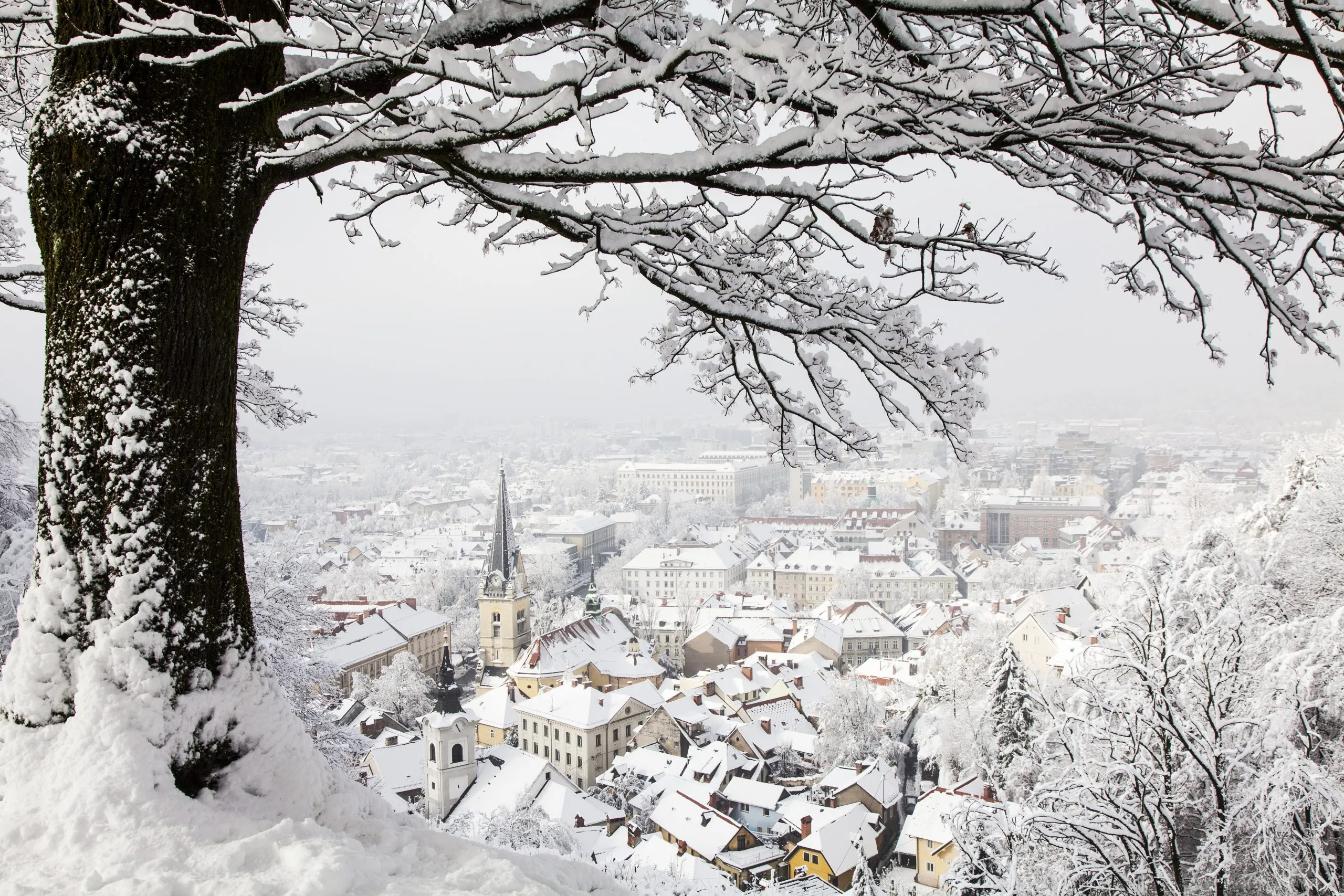 Snowy Ljubljana