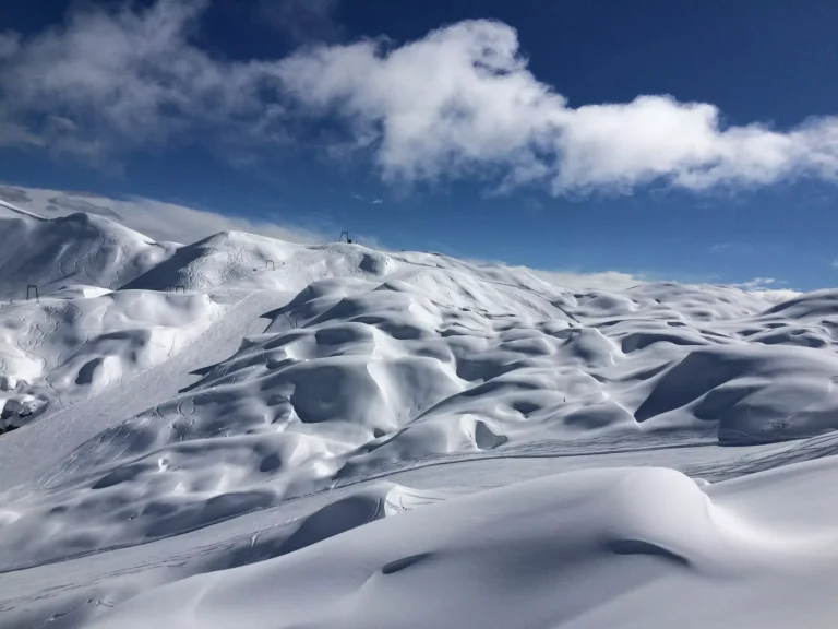 Vogel skisportssted sne