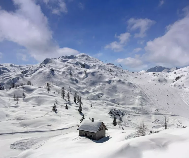 Vogel ski resort hut